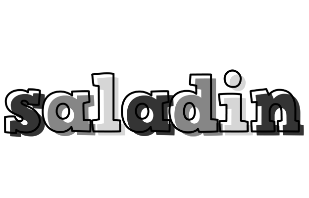 Saladin night logo