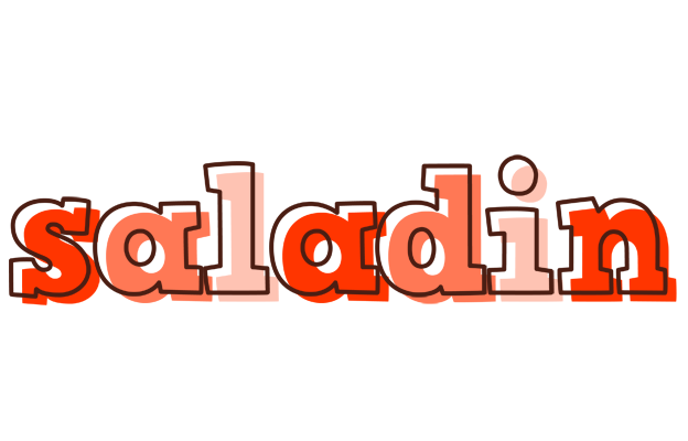 Saladin paint logo