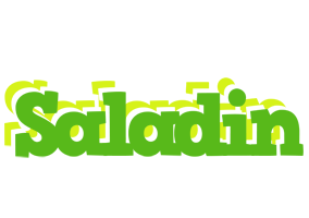 Saladin picnic logo