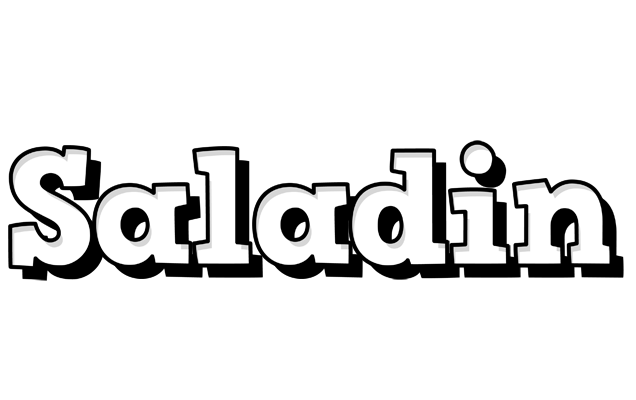 Saladin snowing logo