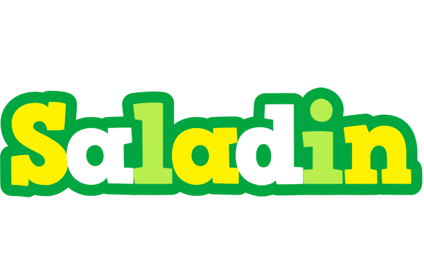 Saladin soccer logo