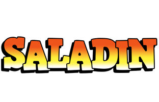 Saladin sunset logo