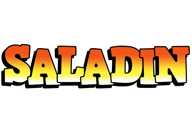 Saladin sunset logo