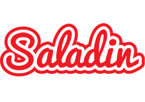 Saladin sunshine logo