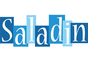Saladin winter logo