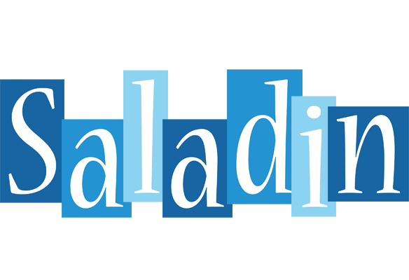 Saladin winter logo