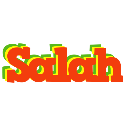 Salah bbq logo