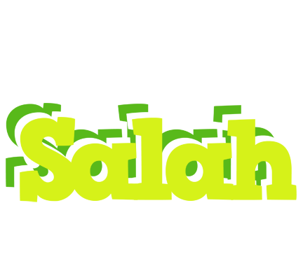 Salah citrus logo