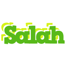 Salah picnic logo