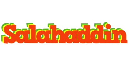 Salahaddin bbq logo