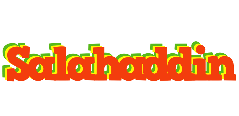 Salahaddin bbq logo