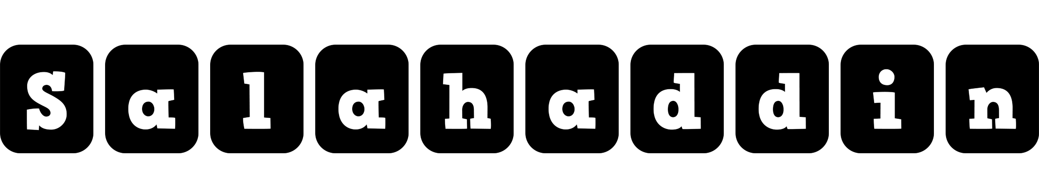 Salahaddin box logo