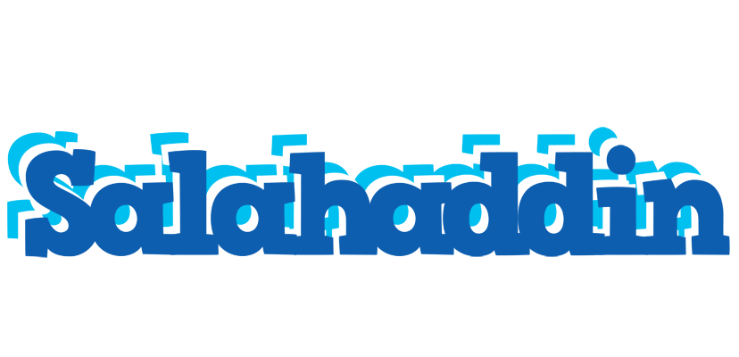 Salahaddin business logo