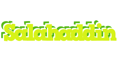 Salahaddin citrus logo