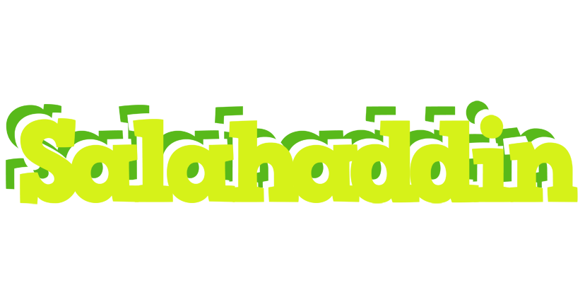 Salahaddin citrus logo