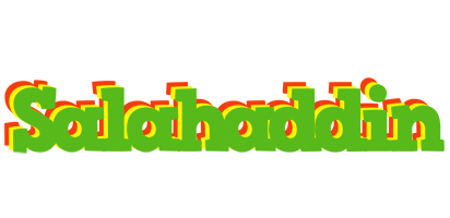 Salahaddin crocodile logo