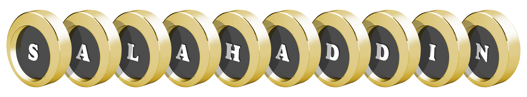 Salahaddin gold logo