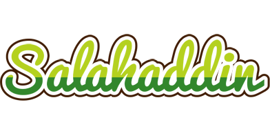 Salahaddin golfing logo