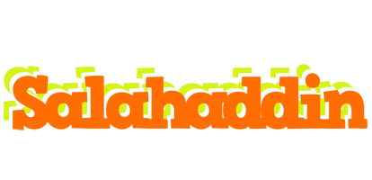 Salahaddin healthy logo