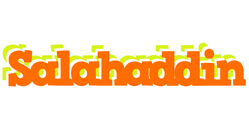 Salahaddin healthy logo