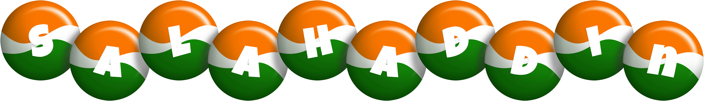 Salahaddin india logo