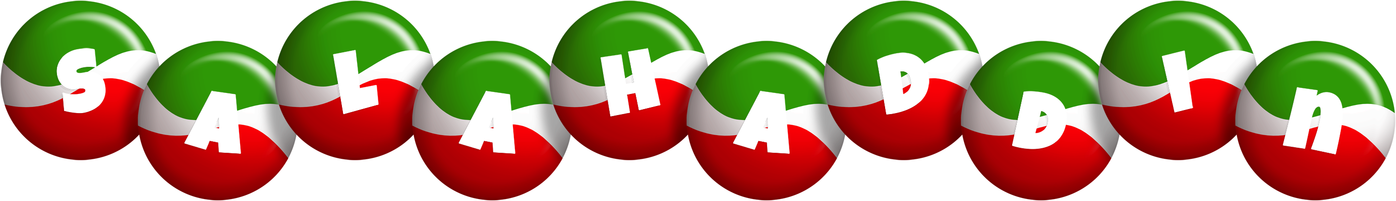 Salahaddin italy logo