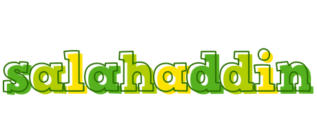 Salahaddin juice logo