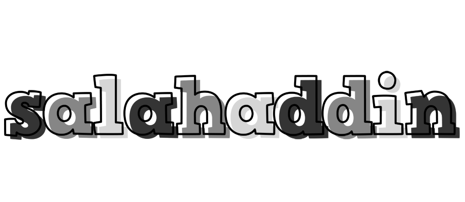 Salahaddin night logo
