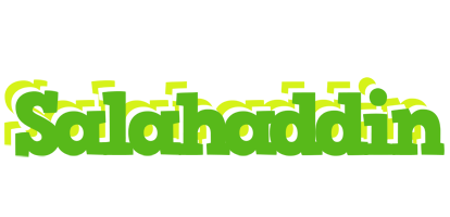 Salahaddin picnic logo