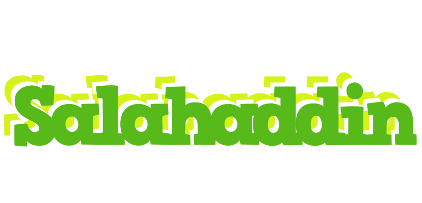 Salahaddin picnic logo