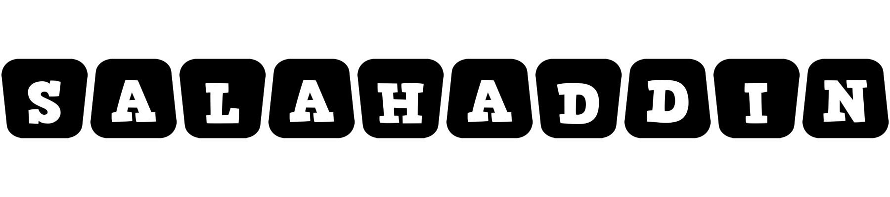 Salahaddin racing logo