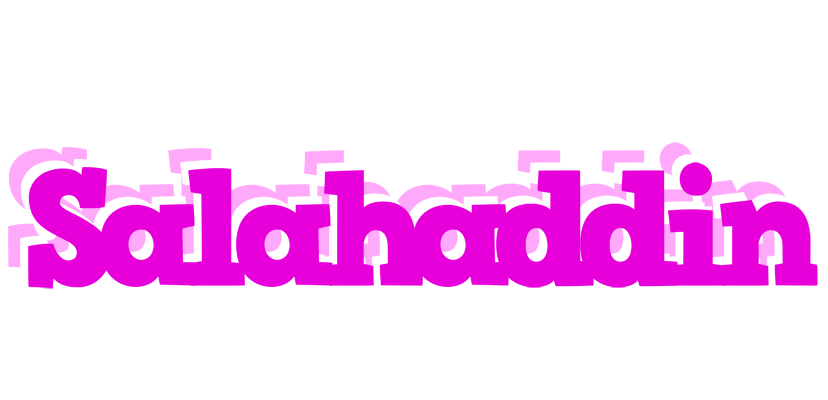 Salahaddin rumba logo