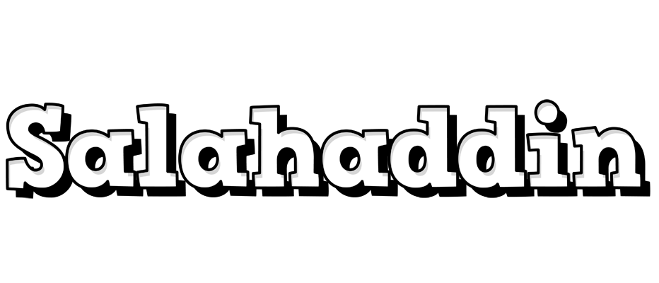 Salahaddin snowing logo