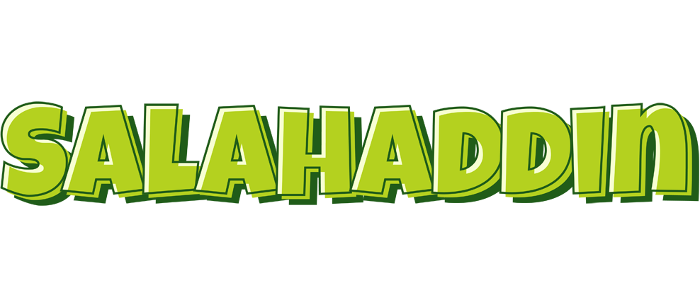 Salahaddin summer logo