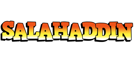 Salahaddin sunset logo