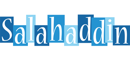 Salahaddin winter logo