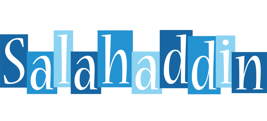 Salahaddin winter logo
