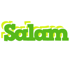 Salam picnic logo