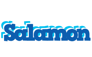 Salamon business logo