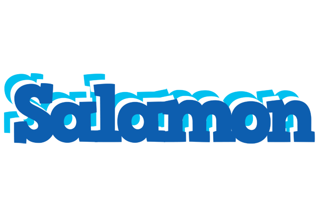 Salamon business logo