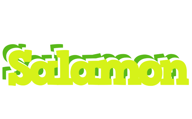 Salamon citrus logo