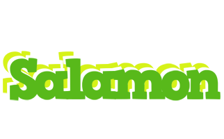 Salamon picnic logo