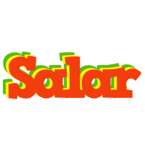 Salar bbq logo