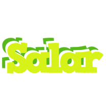 Salar citrus logo