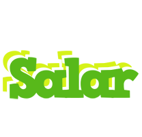 Salar picnic logo