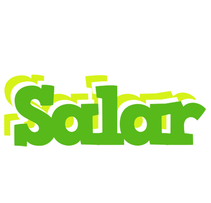 Salar picnic logo