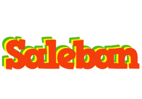 Saleban bbq logo