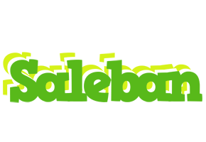 Saleban picnic logo