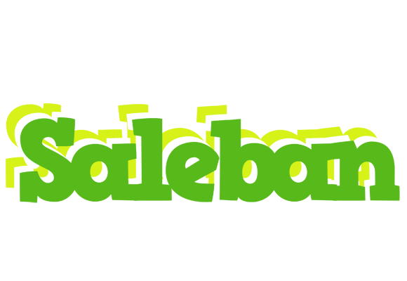 Saleban picnic logo