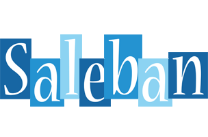 Saleban winter logo